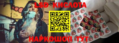 ALPHA PVP Малгобек