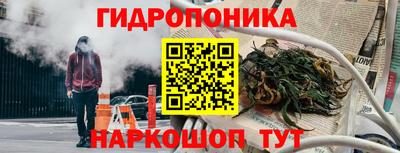 гашик Малоярославец