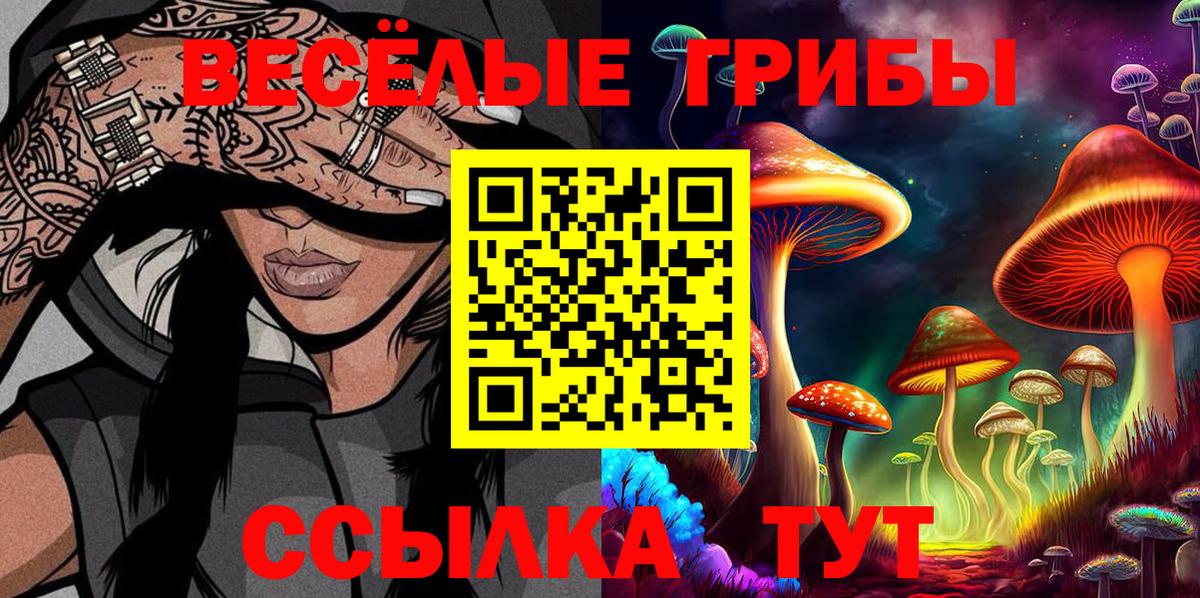 Холмск  Псилоцибиновые грибы Psilocybine cubensis  Вход с VPN  Галлюциногенные грибы GOLDEN TEACHER 