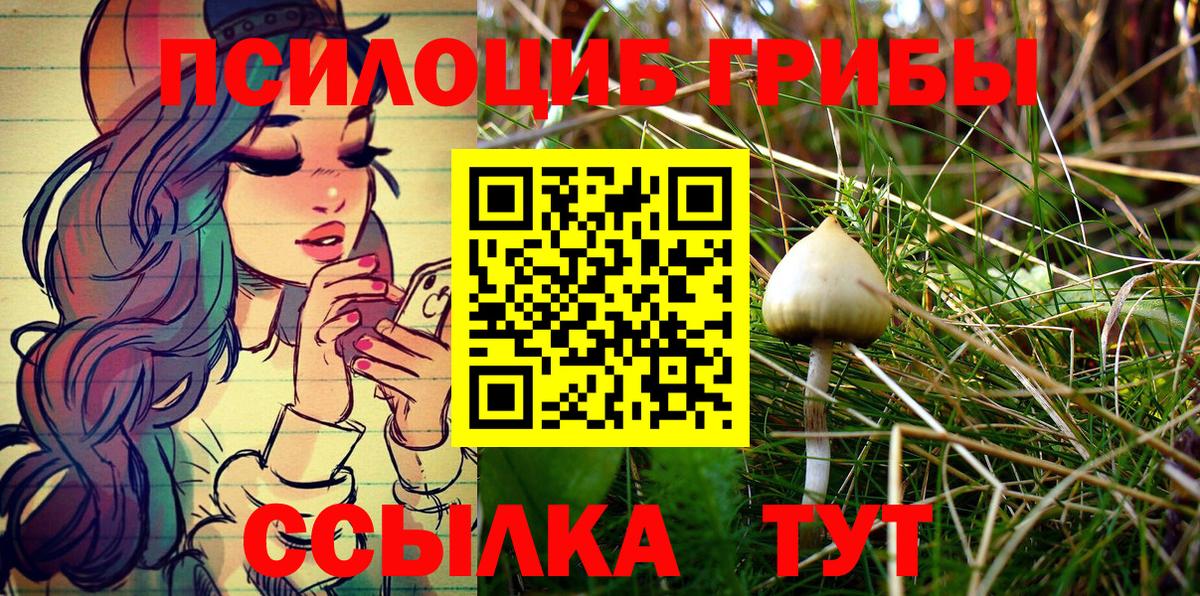 Псилоцибиновые грибы мицелий Холмск